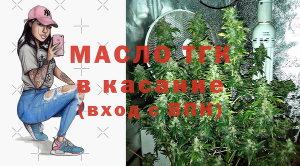 хмурый Бородино